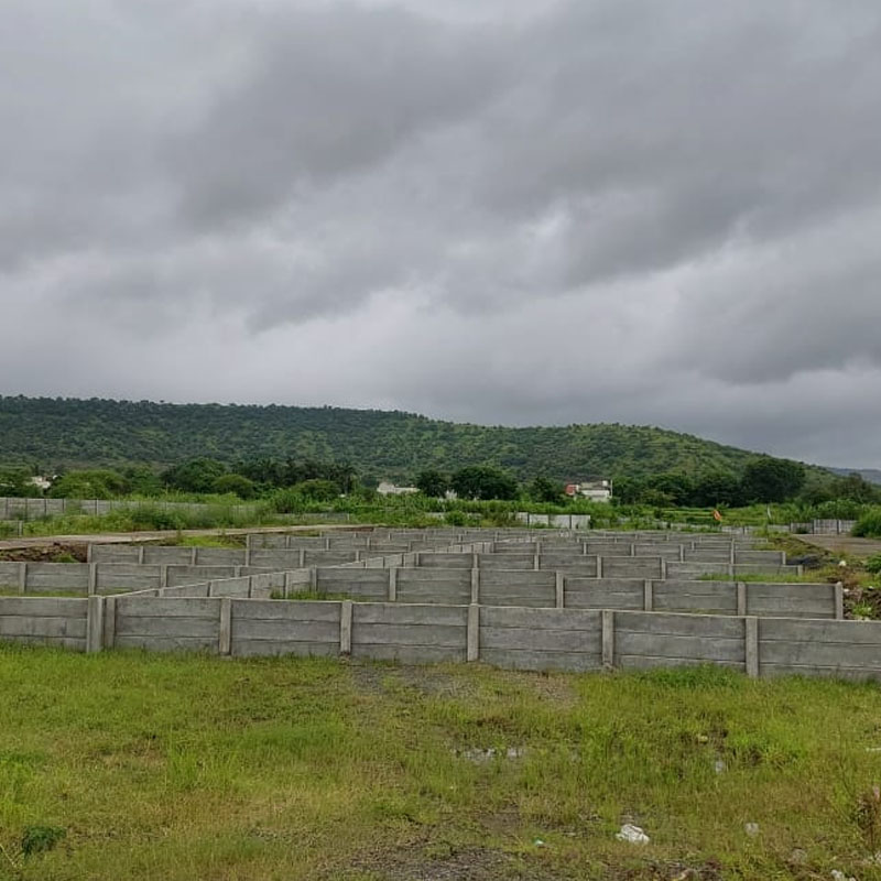 Goldmark Signature County